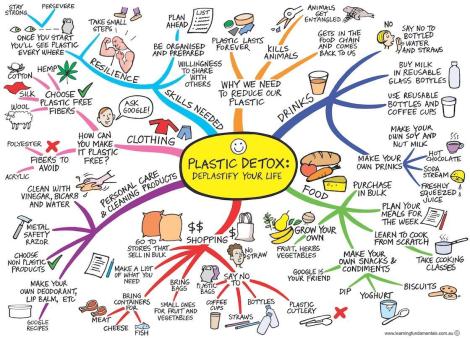 2019-plastic-detox