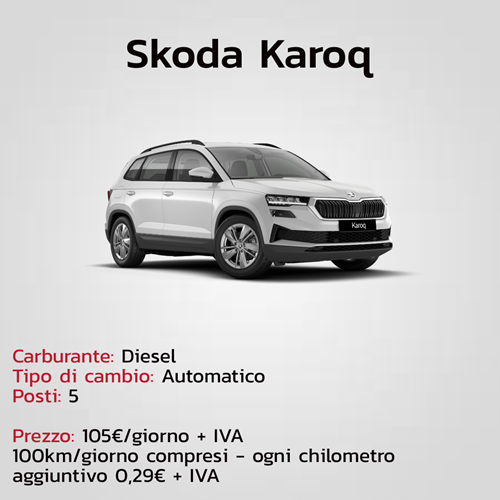 Karoq IT