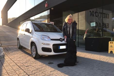 fiat-panda-autohaus-gebrauchtwagen-südtirol-autohofer