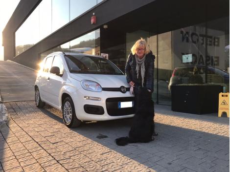 fiat-panda-autohaus-gebrauchtwagen-südtirol-autohofer